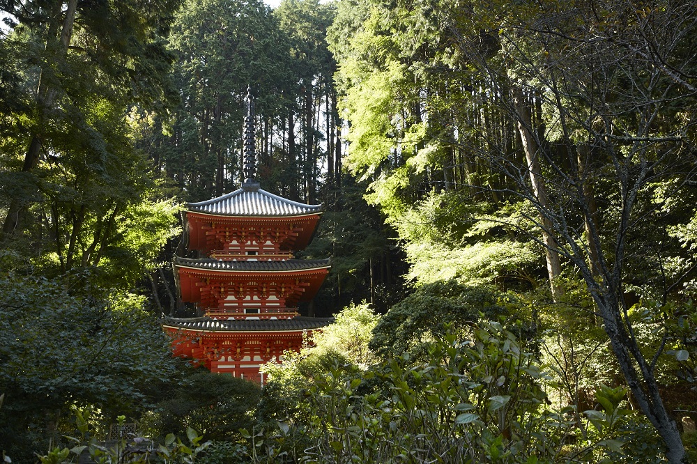 岩船寺 旅游景点 茶的京都 京都府南部的观光信息网站 茶的京都dmo