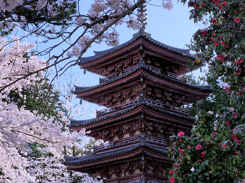 海住山寺の写真