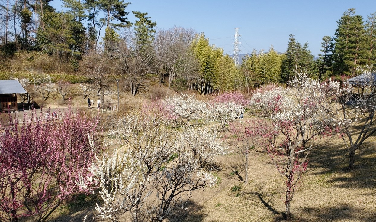 けいはんな記念公園
