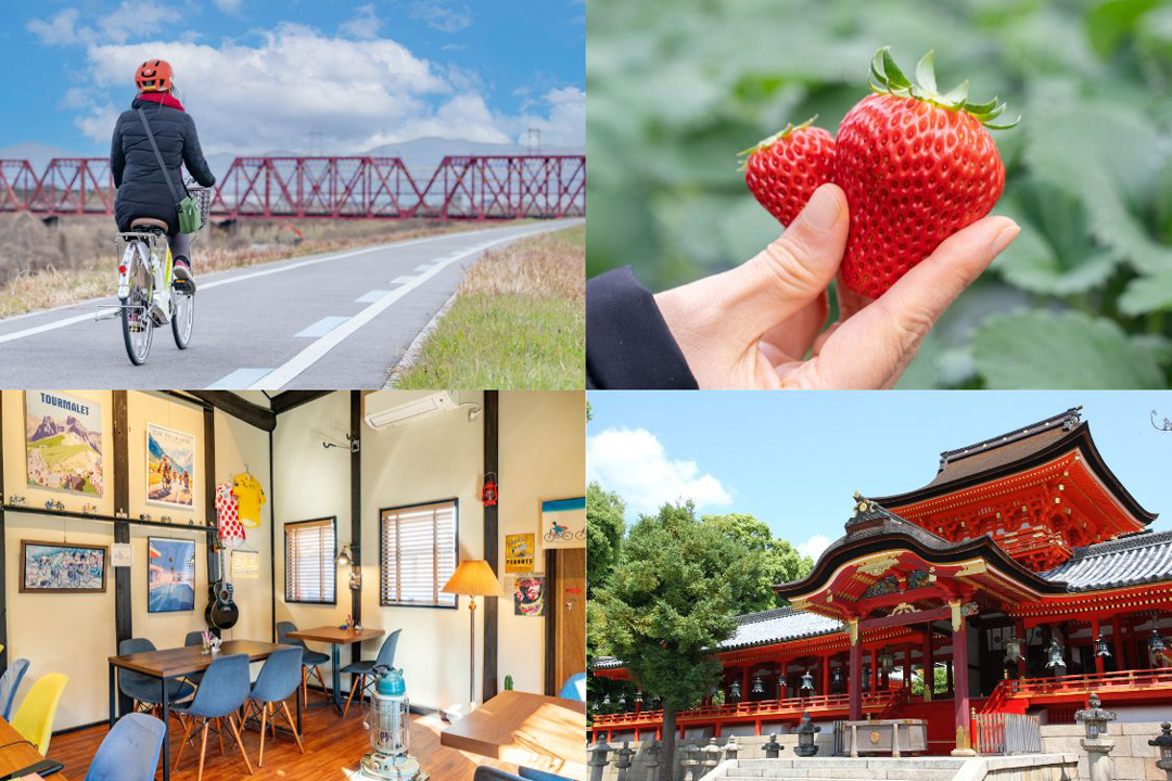 【八幡市】いちご狩りも楽しい季節!サイクリングでまちを巡ろう