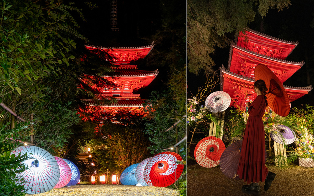 【岩船寺ライトアップ】光が心に灯る夜。五感に響く、特別な時間をぜひお愉しみください。