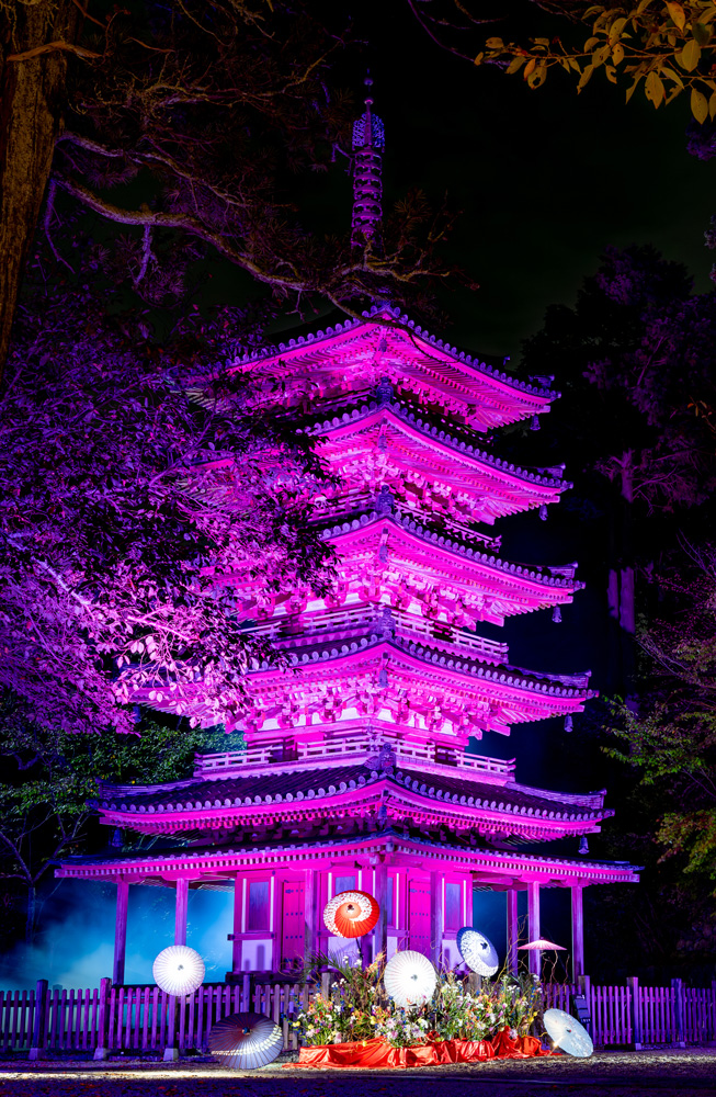 【海住山寺ライトアップ】夜の静寂に灯る荘厳美。ぜひごゆっくり、ご堪能ください。