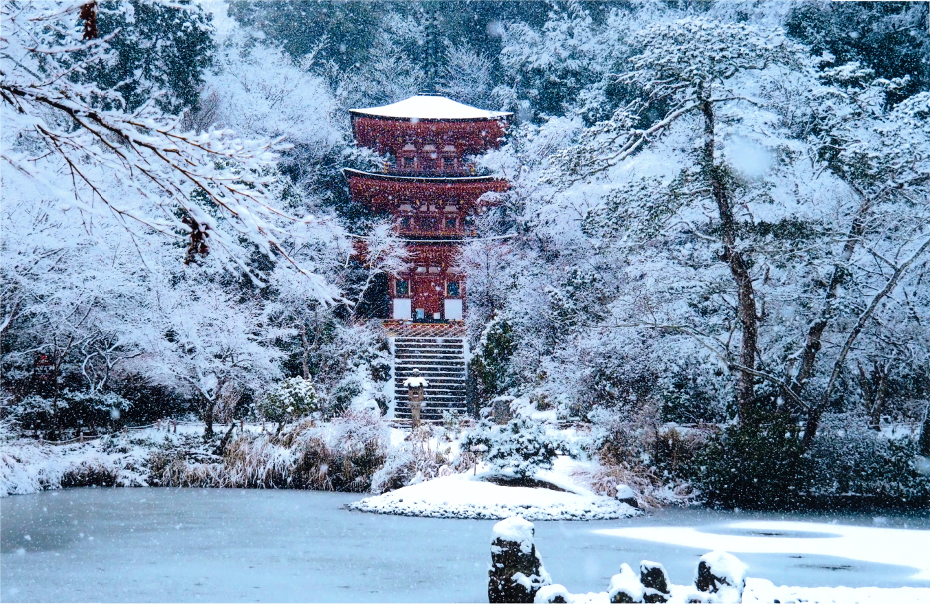 【夜間特別拝観・新春特別公開】浄瑠璃寺・岩船寺で素晴らしい年はじめを。