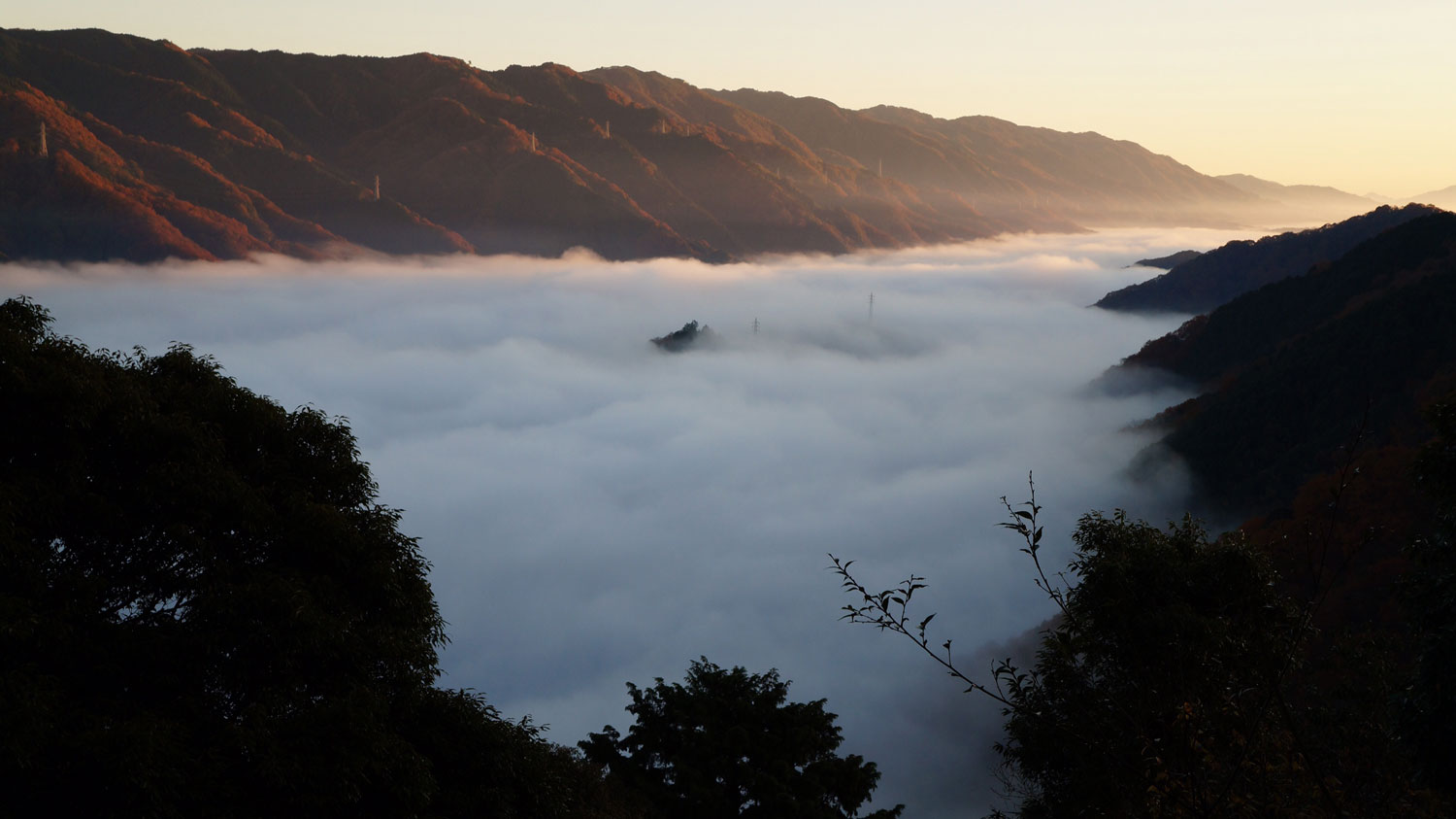 笠置山から眺められる幻想的な雲海