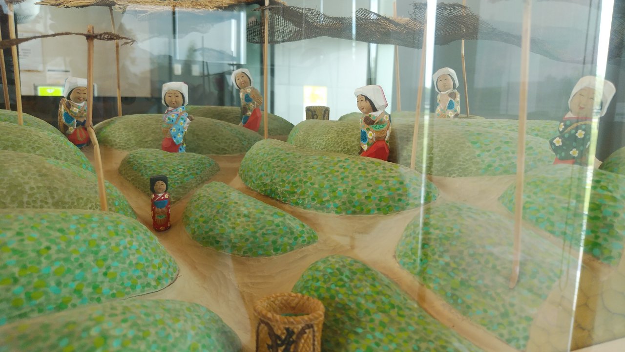 茶の木人形の展示場所
