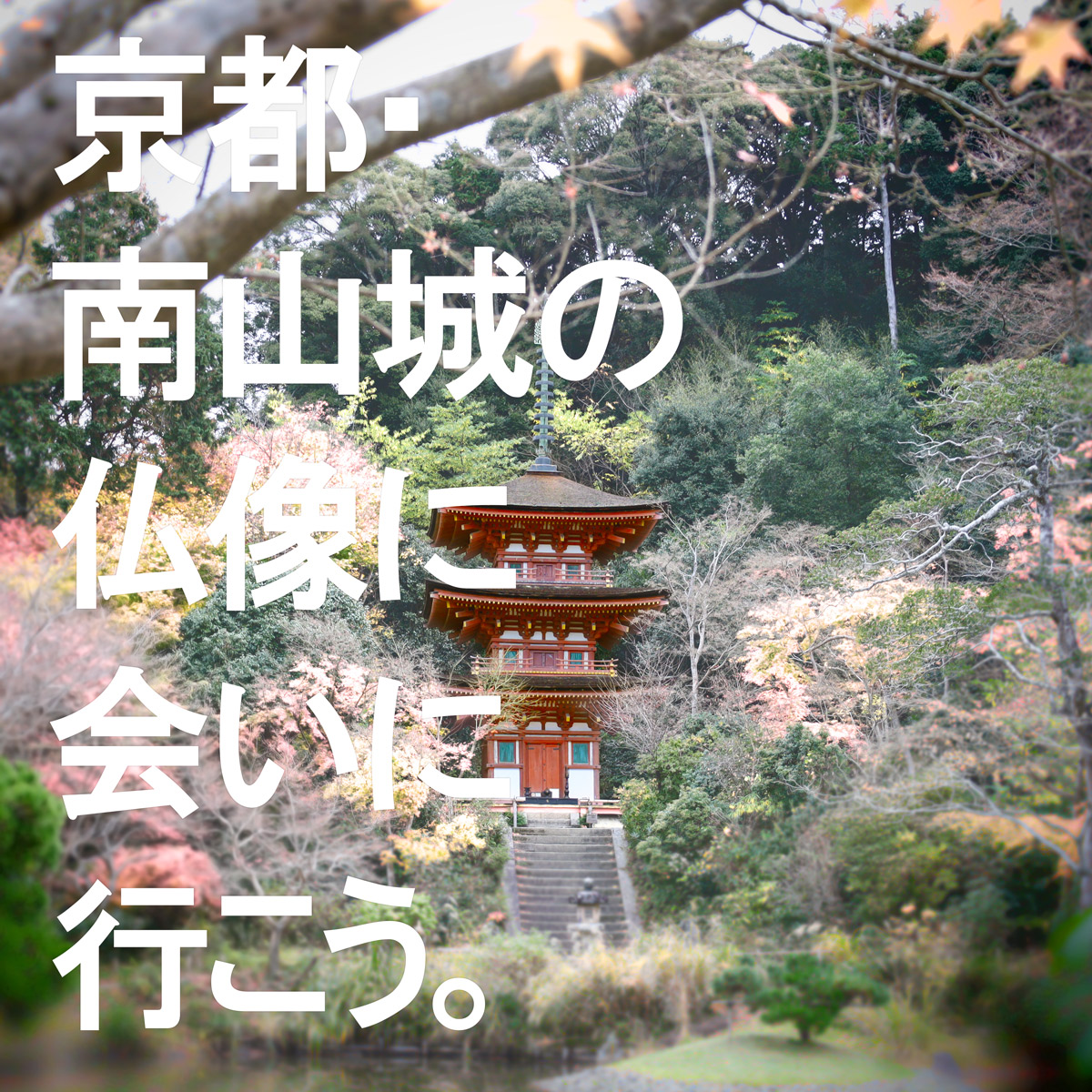 京都駅から行く南山城古寺巡礼ツアー