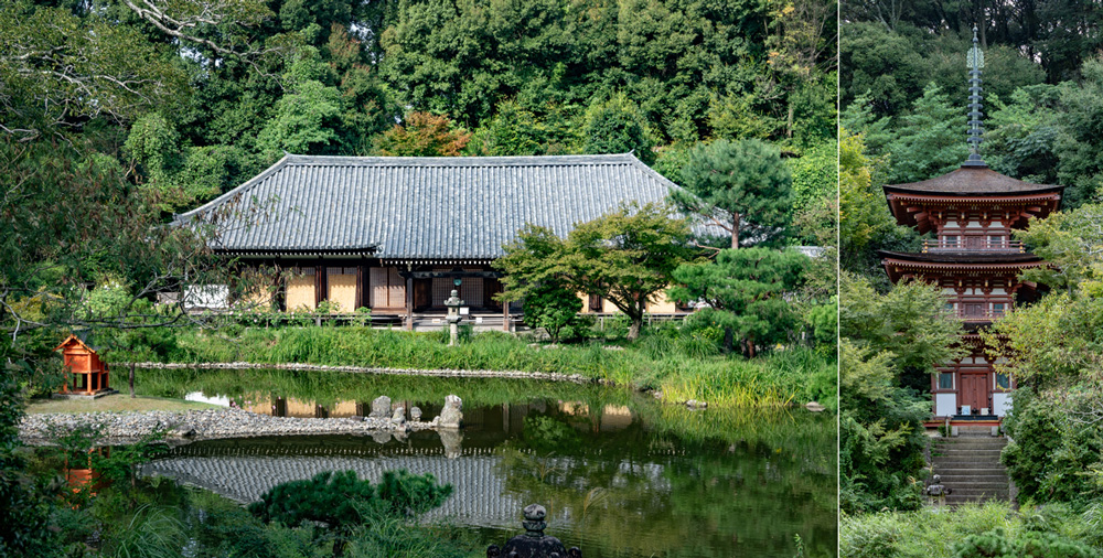 【会いに行ける①】浄瑠璃寺（じょうるりじ）