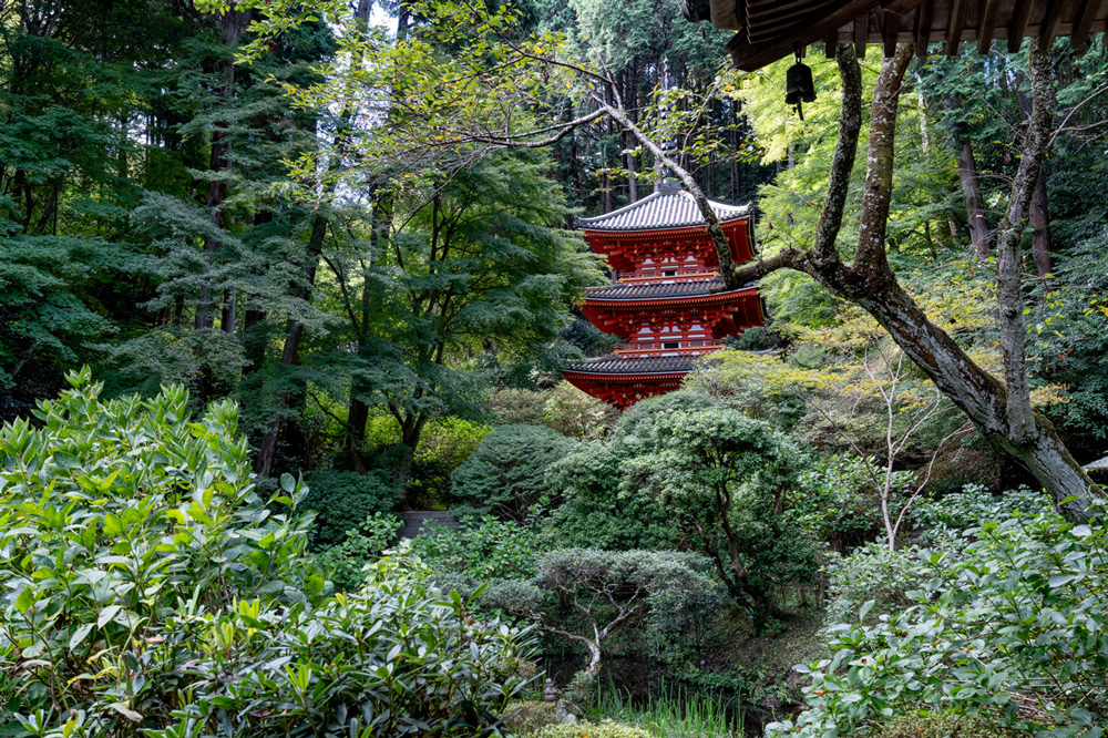 【会いに行ける②】岩船寺（がんせんじ）