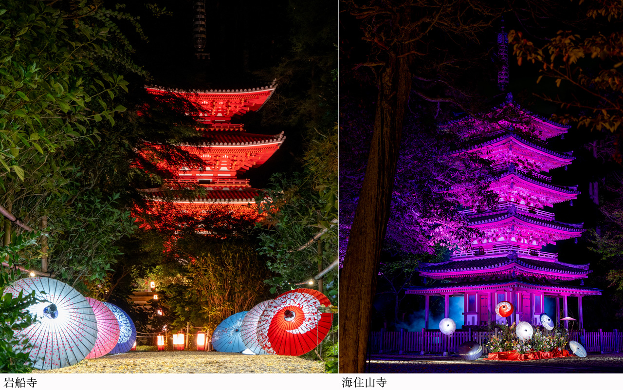 古寺の違った魅力に出逢える！夜のおでかけも素敵