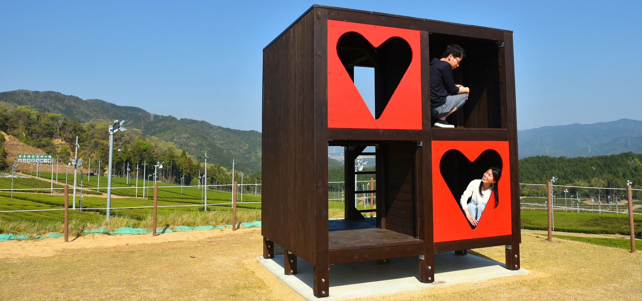 【茶畑のスケールを実感！】西ノ山展望広場