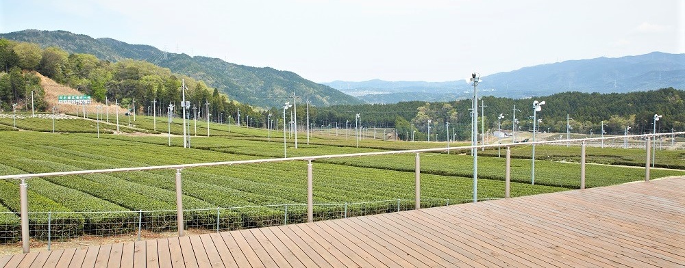 【お茶とアウトドアを楽しむ！】宇治田原町「お茶の未来EXPO」