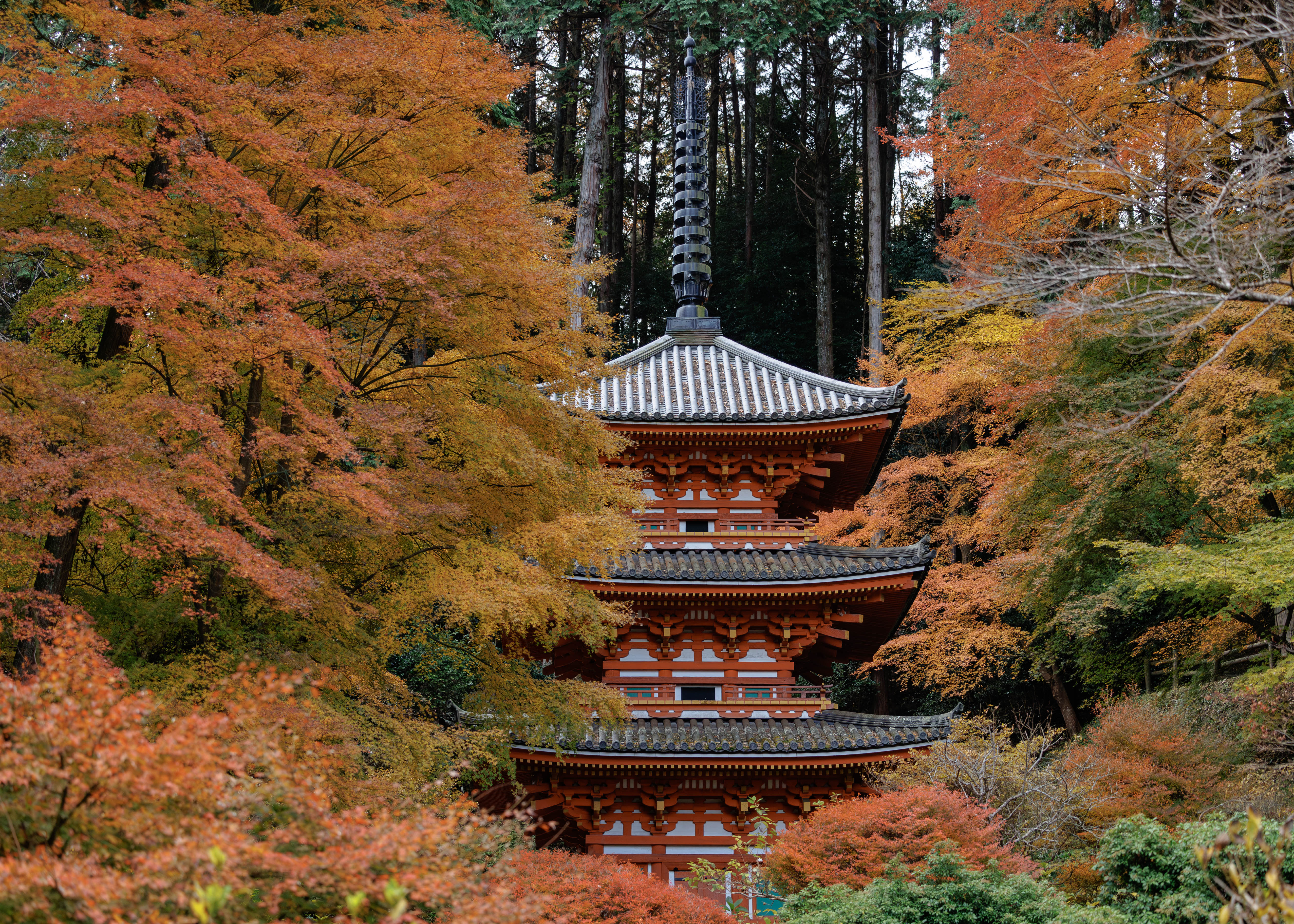 「花の寺」岩船寺へ
