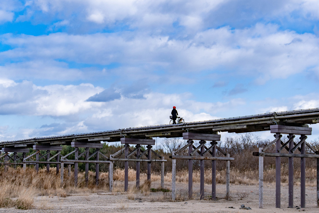 さまざまな映画の舞台になっている流れ橋へ