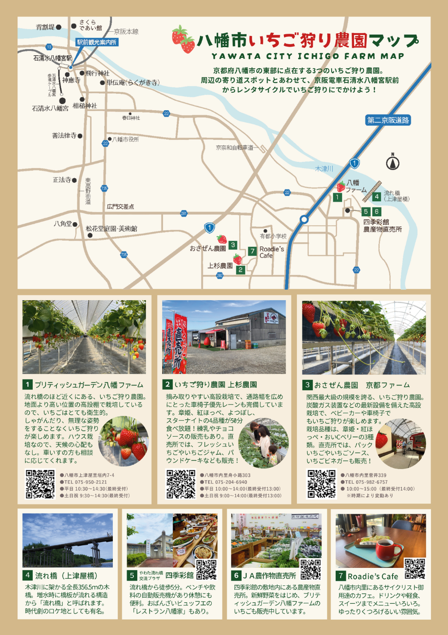 駅前レンタサイクルでいちご狩りにでかけよう「いちご RIDE in やわた。」