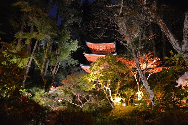 岩船寺　夜間特別拝観とライトアップ