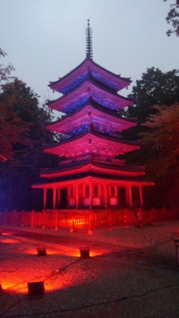 海住山寺 海嶺錦秋の夜　秋の紅葉に彩られた五重塔と境内のライトアップ