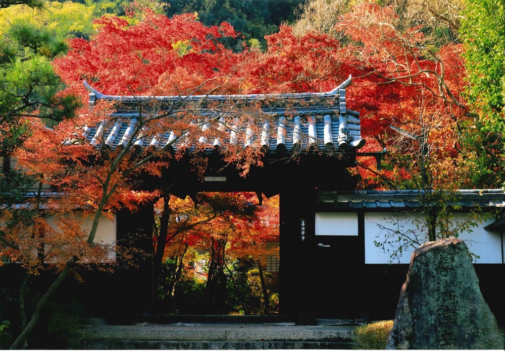 京都やわたの紅葉満喫　秋の文化財一斉公開