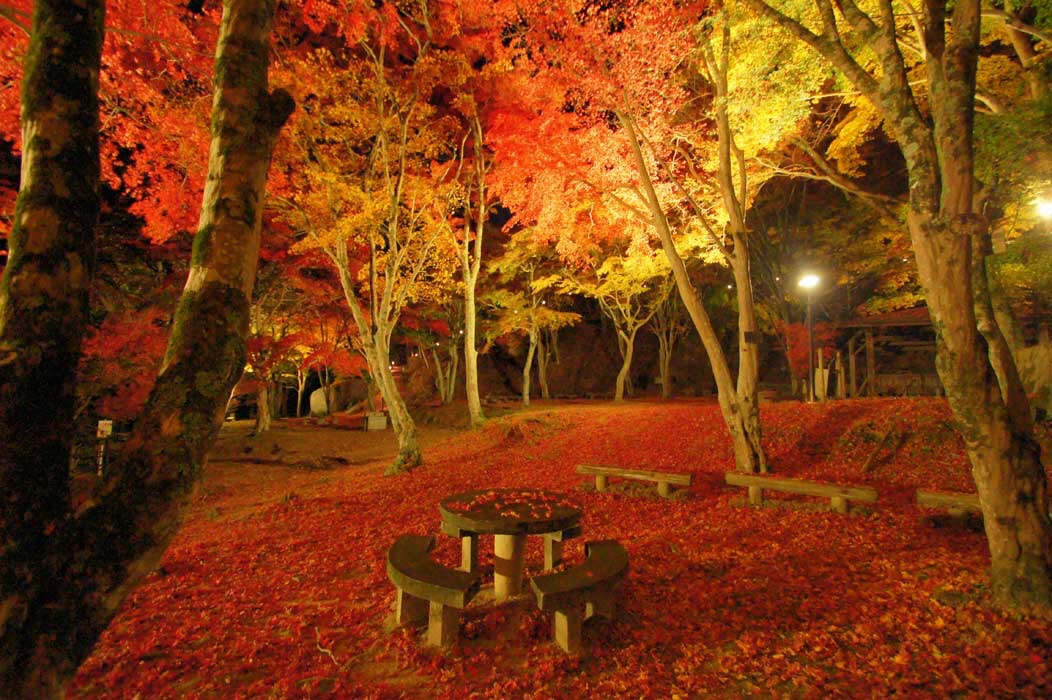 もみじ公園・山頂遊歩道ライトアップ