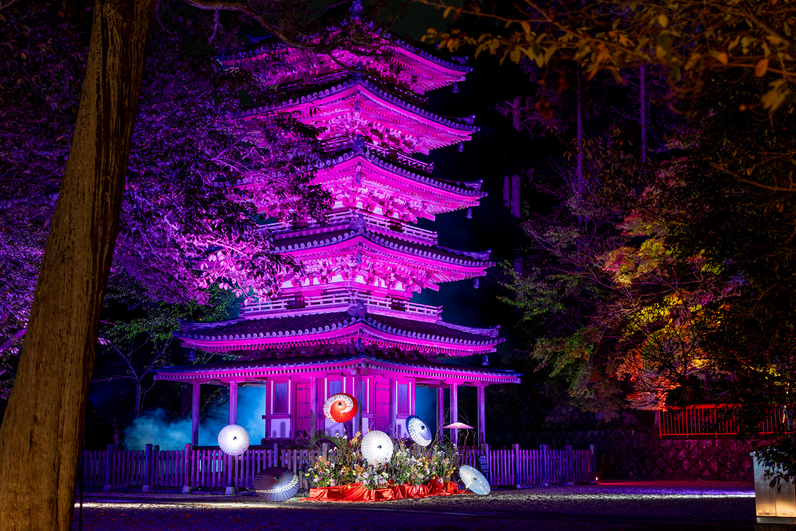 海住山寺ライトアップ