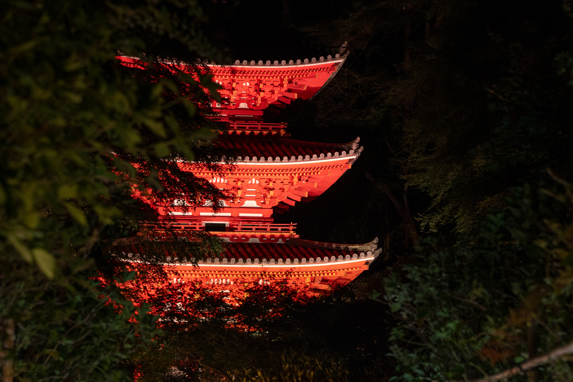 岩船寺ライトアップ２０２４　千紫万紅 －花浄土の和みー