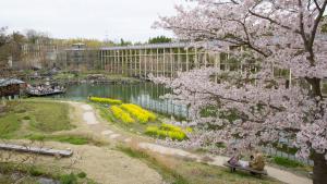 水景園　春　桜　菜の花