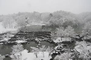 けいはんな記念公園：水景園　雪
