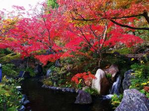 けいはんな記念公園：滝と紅葉