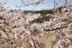 一覧 フォトライブラリー お茶の京都 京都府南部 山城地域 の観光情報