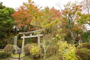 京都府立笠置山自然公園（もみじ公園）：紅葉1